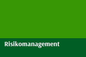 Risikomanagement