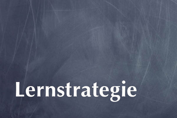 Selbstcheck Lernstrategie